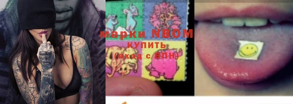 бошки Дмитров