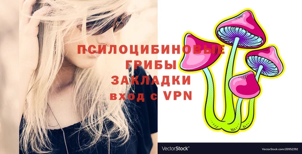 бошки Дмитров