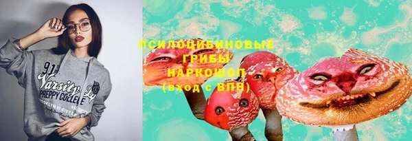 бошки Дмитров