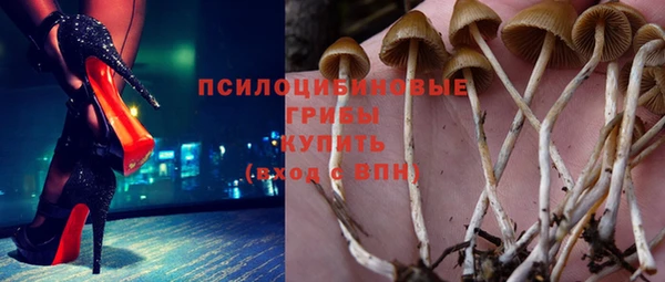 спиды Дмитриев